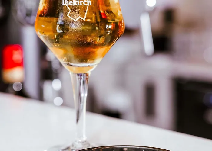 酒店 Ibis Luxembourg Airport 3*